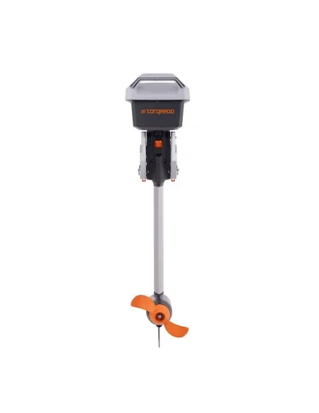 Motor fueraborda eléctrico Torqeedo Travel 3 CV