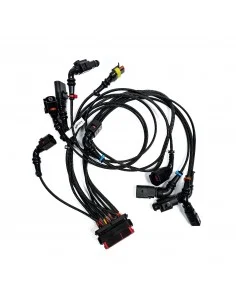 Arnés de Cableado ICU 2019...