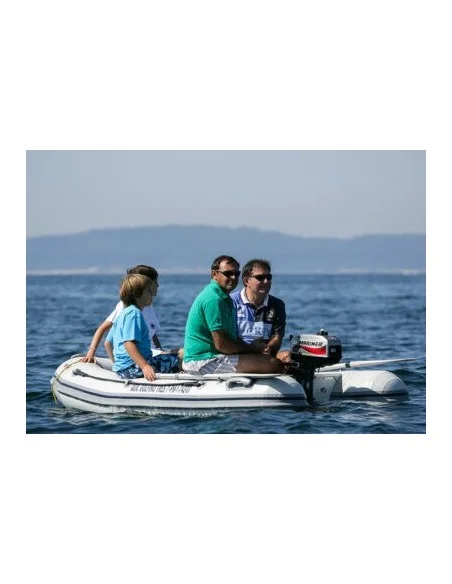 Barco pequeño de recreo Astec Serie Tender