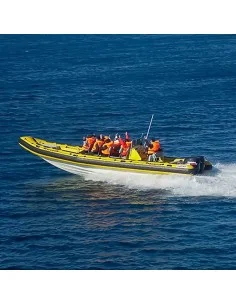 Barco Astec Serie...