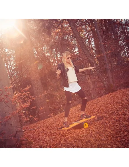 Tabla de equilibro RollerBone Fitbone Pro Set más alfombra
