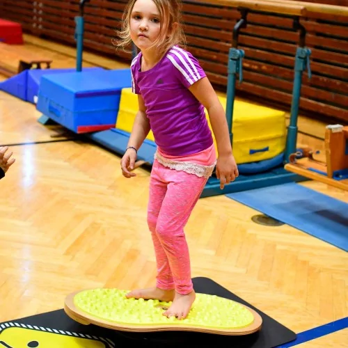 Tabla de equilibro RollerBone...