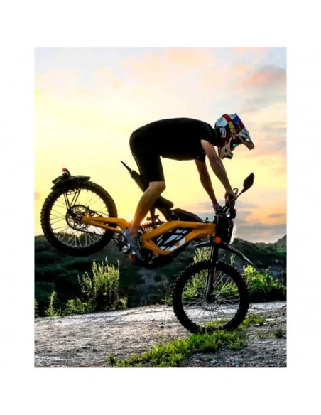 Moto eléctrica Sur Ron Light Bee L1E